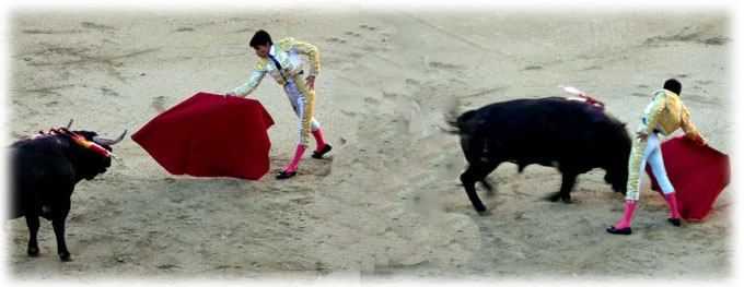 スペイン旅行写真　闘牛